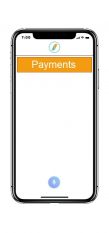 How to accept mobile payments online
