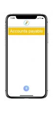 Best Accounts Payable app
